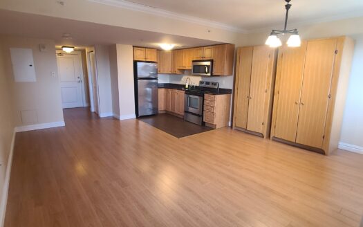 5620 South Street | Sophisticated Downtown Luxury Bachelor | The James – Unit 206 | $1,595/Month – Available June 15th, 2026