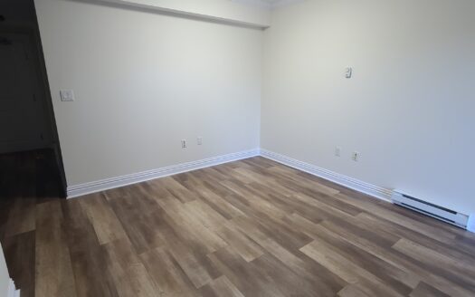 5620 South St.- Luxury Downtown 1-Bedroom with Balcony | The James – Unit 305 | $1,795/Month – Available August 1st, 2026