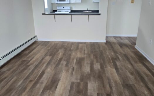 15 Borden Street | Renovated 1-Bedroom with Private Balcony | Unit 2 | $1,595/Month – Available NOW or June 1st, 2026