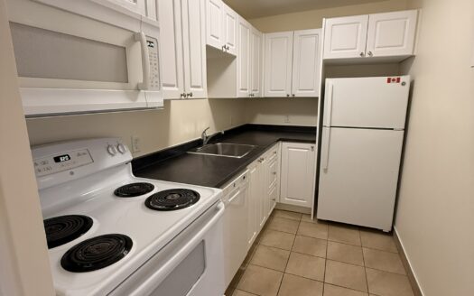 7 Mandaville Court | Beautiful & Spacious 1-Bedroom Apartment | Unit 6 | $1,595/Month – Available September 3rd, 2026
