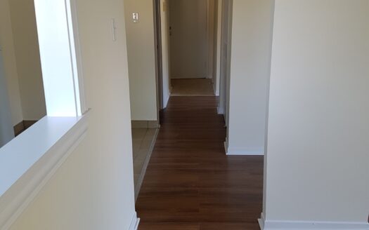 Upgraded 1-Bedroom in Clayton Park | Unit 4 $1,595/Month – Available September 1st, 2026