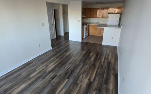 3232 Isleville Street | Fully Renovated North End 1-Bedroom | Near The Hydrostone | $1,645/Month – Available September 1st, 2026
